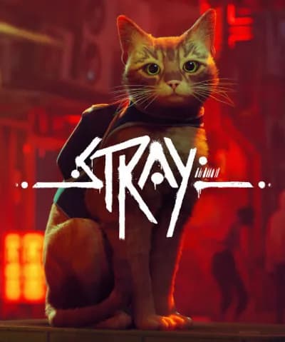 Stray